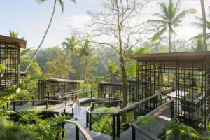 日本の酷暑を離れ星のやバリへ。平均27度の涼風に包まれる「ウブドの森の避暑地滞在」