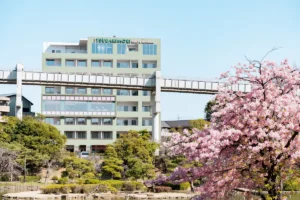 千葉市初のブティックホテル「THE TSUBAKIMORI」誕生！全室パークビューで味わう非日常のひととき