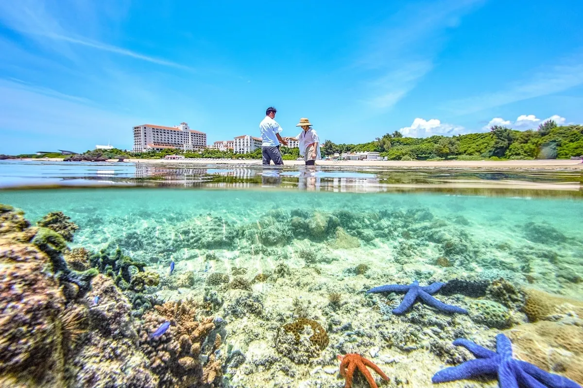透明度の高い海と青いヒトデが広がるニライビーチの水中風景