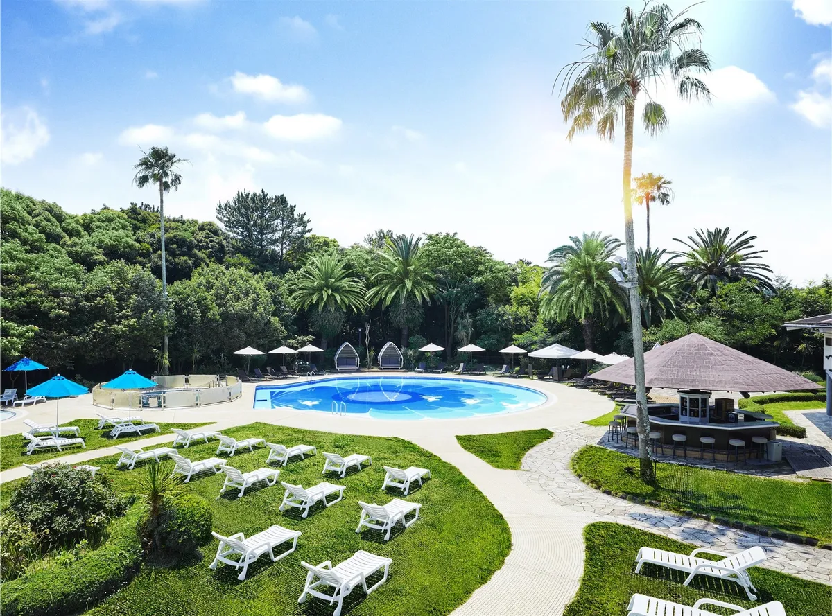 椰子の木と芝生に囲まれた青い水面の屋外プール