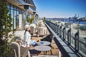 インターコンチネンタル横浜Pier 8で愛犬と美食を。海風香るテラスで過ごす至福のドッグフレンドリー体験