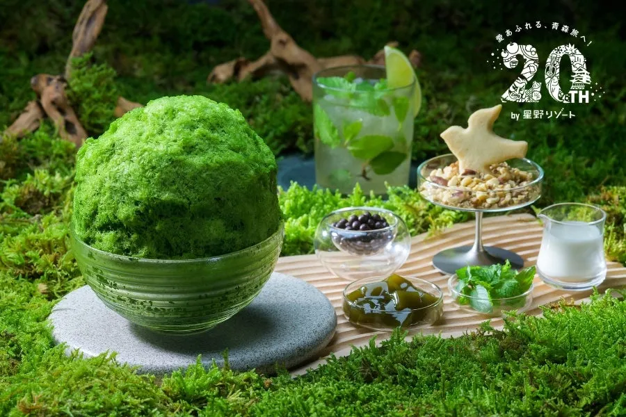 本物の苔玉そっくりな抹茶味のかき氷とコンディメントのセット