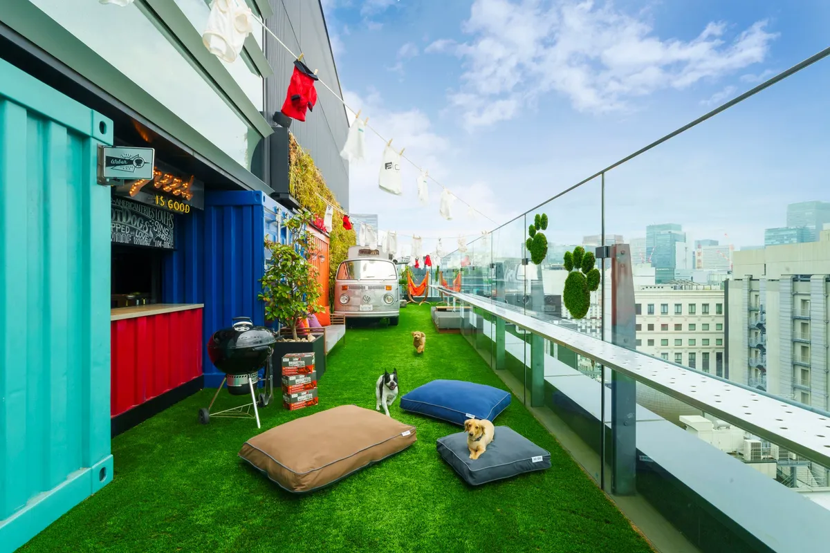 銀座の街並みを背景にした開放感あふれる屋上ドッグラン