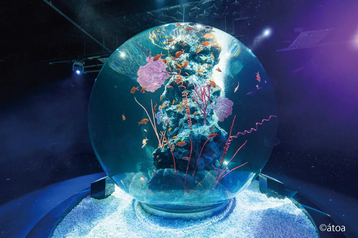 átoaの象徴的な球体水槽「AQUA TERRA」が放つ幻想的な光