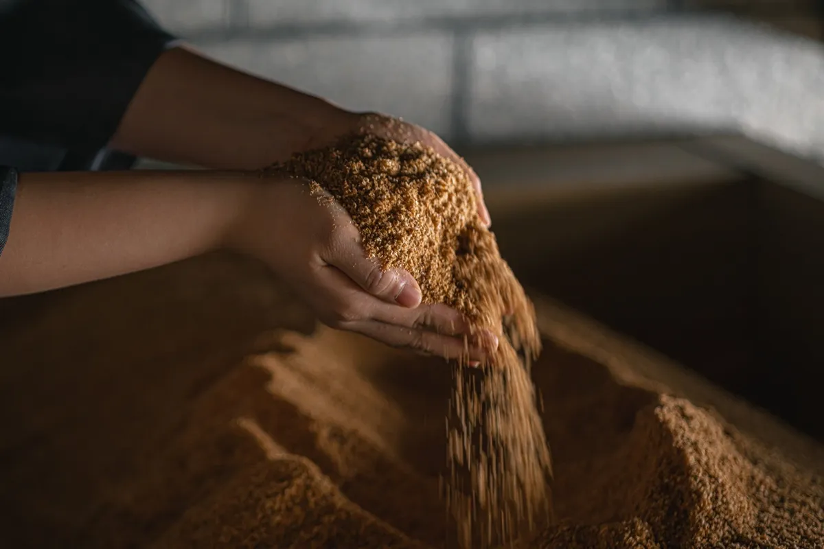発酵した北海道産針葉樹のおがくず