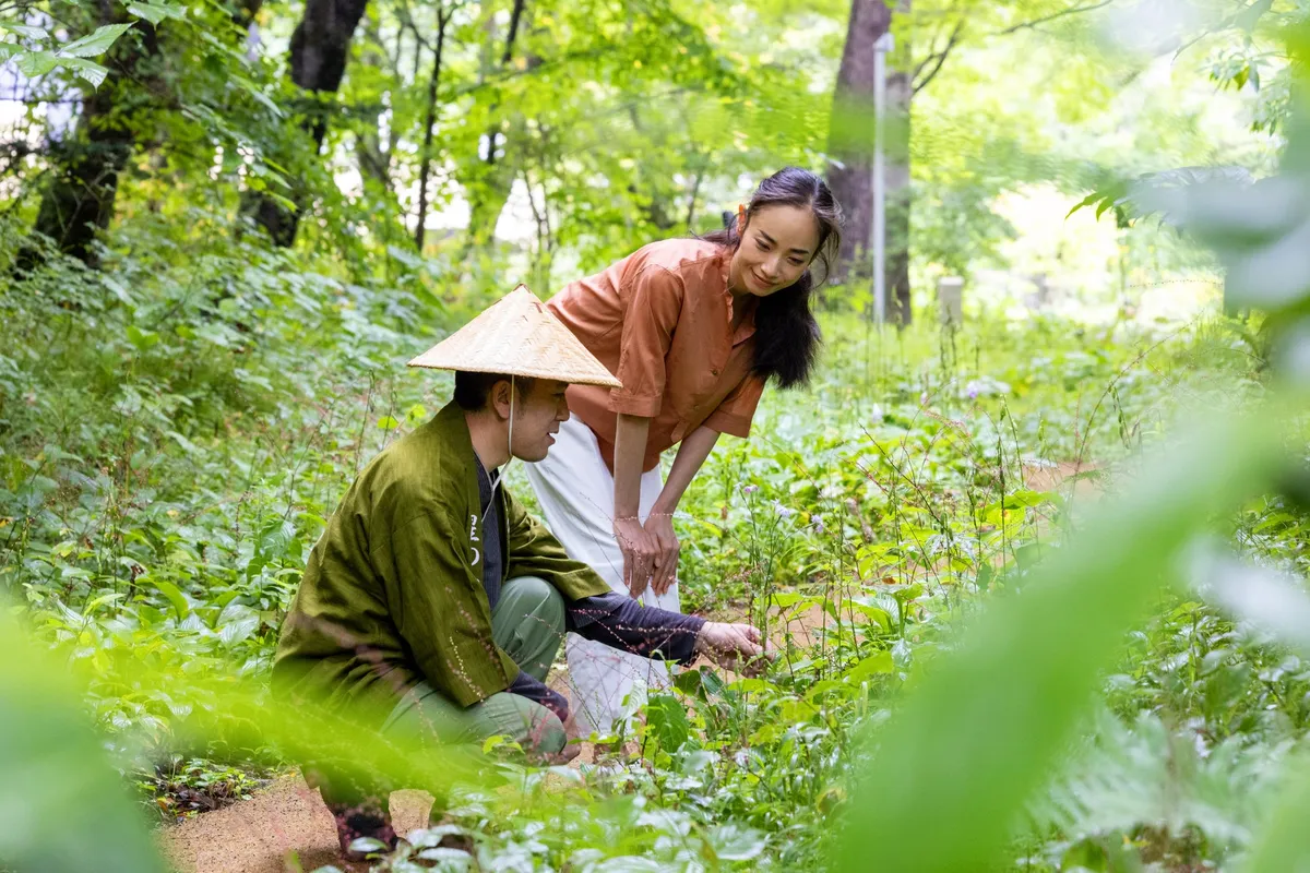 森の中で植物を観察するアクティビティ