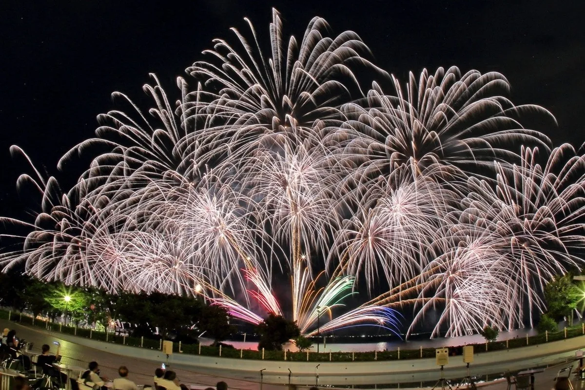 プールサイドから見上げる夜空いっぱいの花火