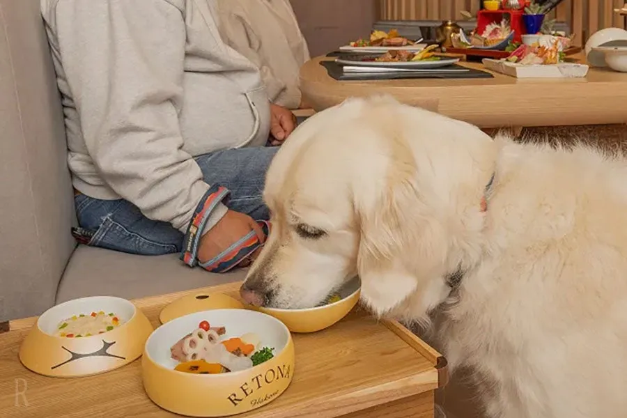 ペット栄養管理士監修の豪華な愛犬用メニュー