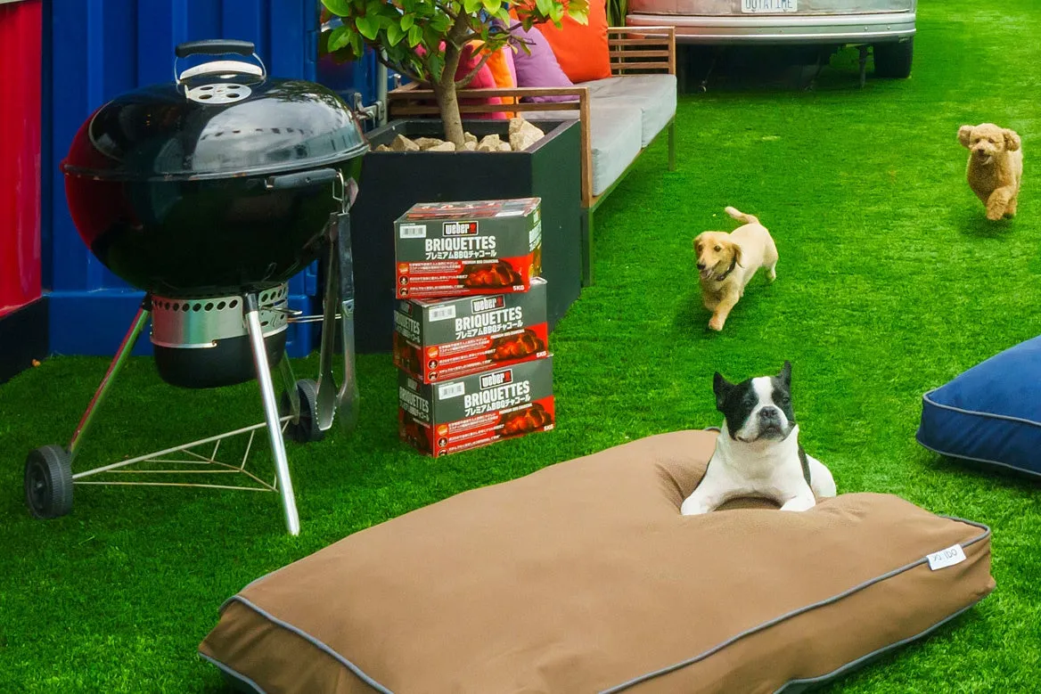 Doggyboでリラックスするわんちゃんと背後に見えるWeberグリル