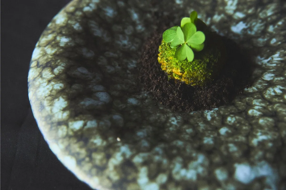 森の情景を表現した猪のクロケッタ