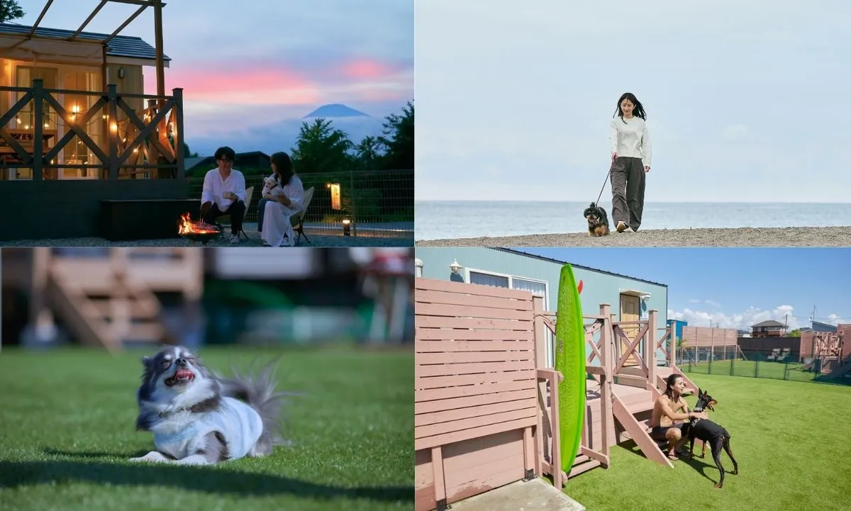 愛犬と焚き火を囲んだりドッグランで遊んだりする様子