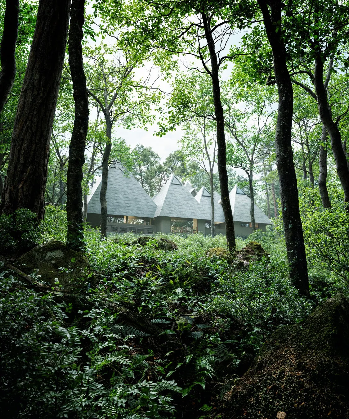 森の中に佇む特徴的なピラミッド型の建築物