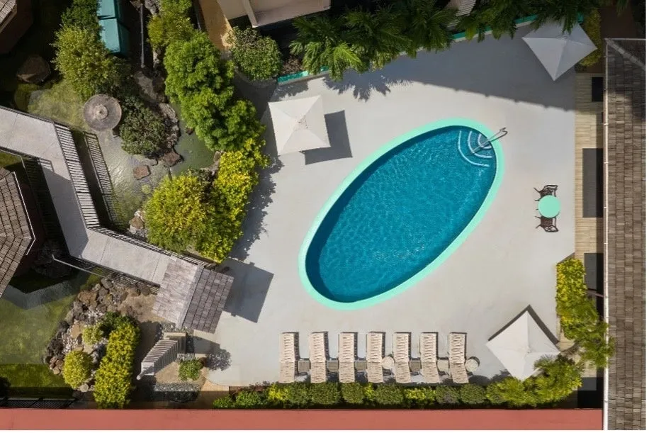 色鮮やかな錦鯉が泳ぐ美しい池と滝