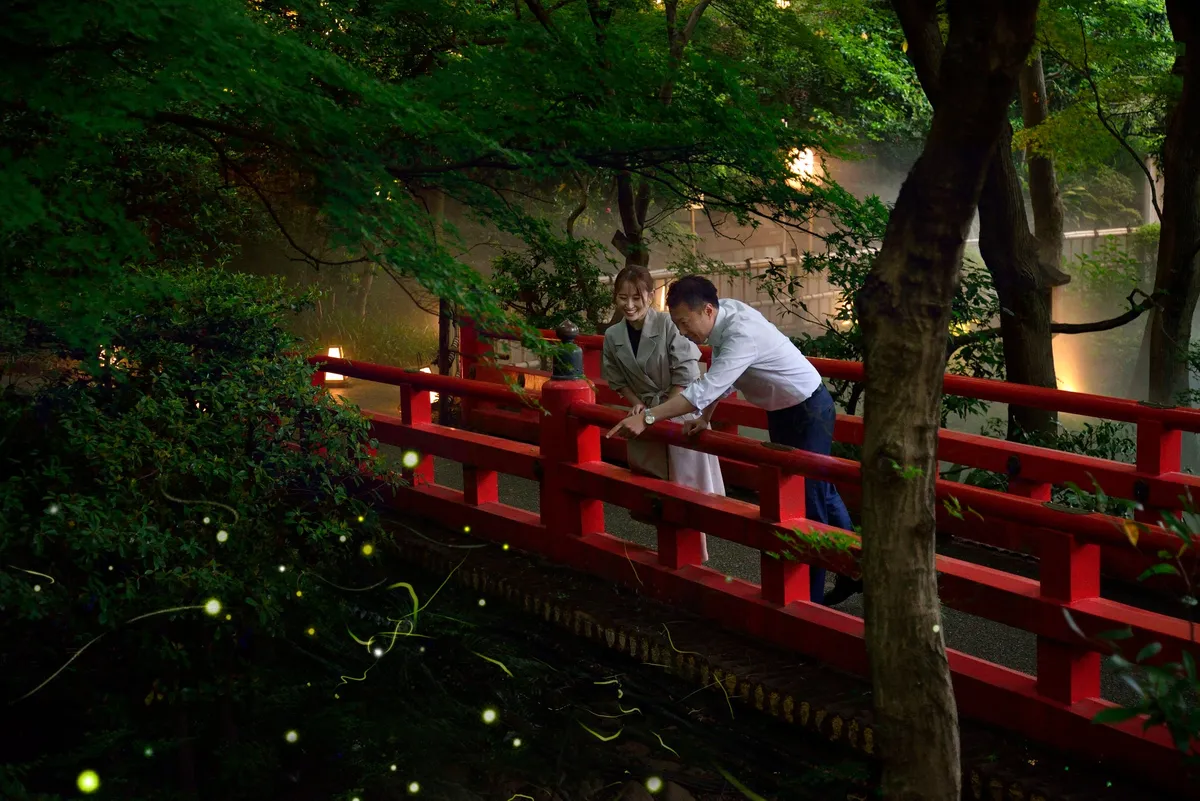 庭園の弁慶橋で蛍を鑑賞する様子