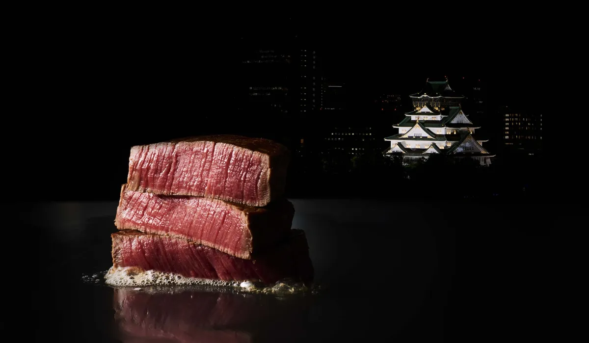 鉄板焼とライトアップされた大阪城