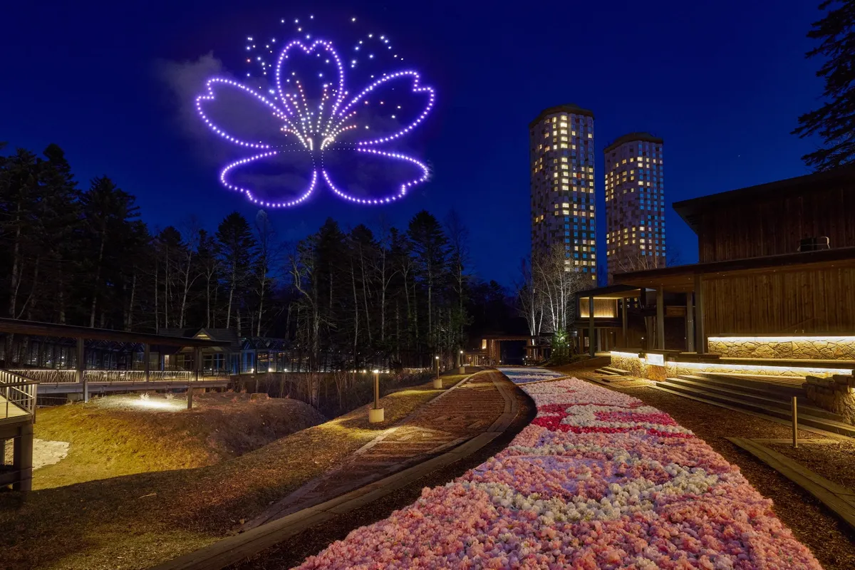 夜空にドローンで描かれた巨大な桜の花とライトアップされた花咲くカーペット
