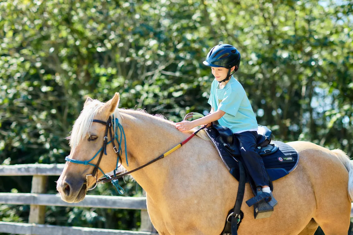馬の背中に乗って視線の違いを体感する様子