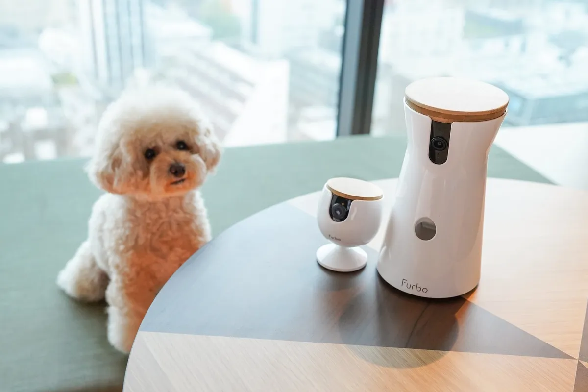 客室に設置されたペットカメラFurbo