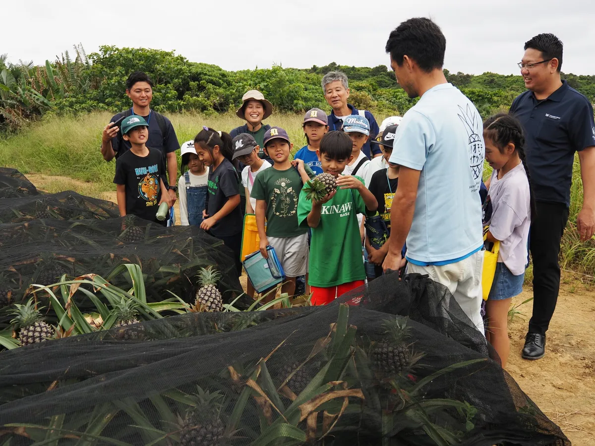 畑でピーチパインを観察する児童たち