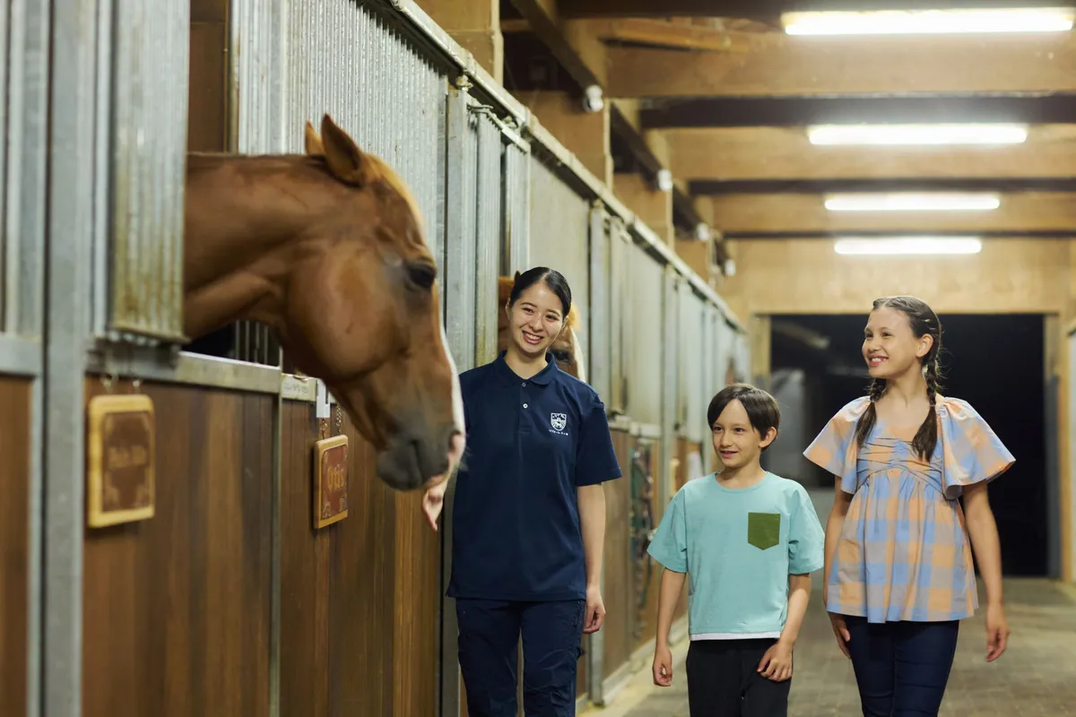 夜の厩舎で馬の様子を観察する子供たち