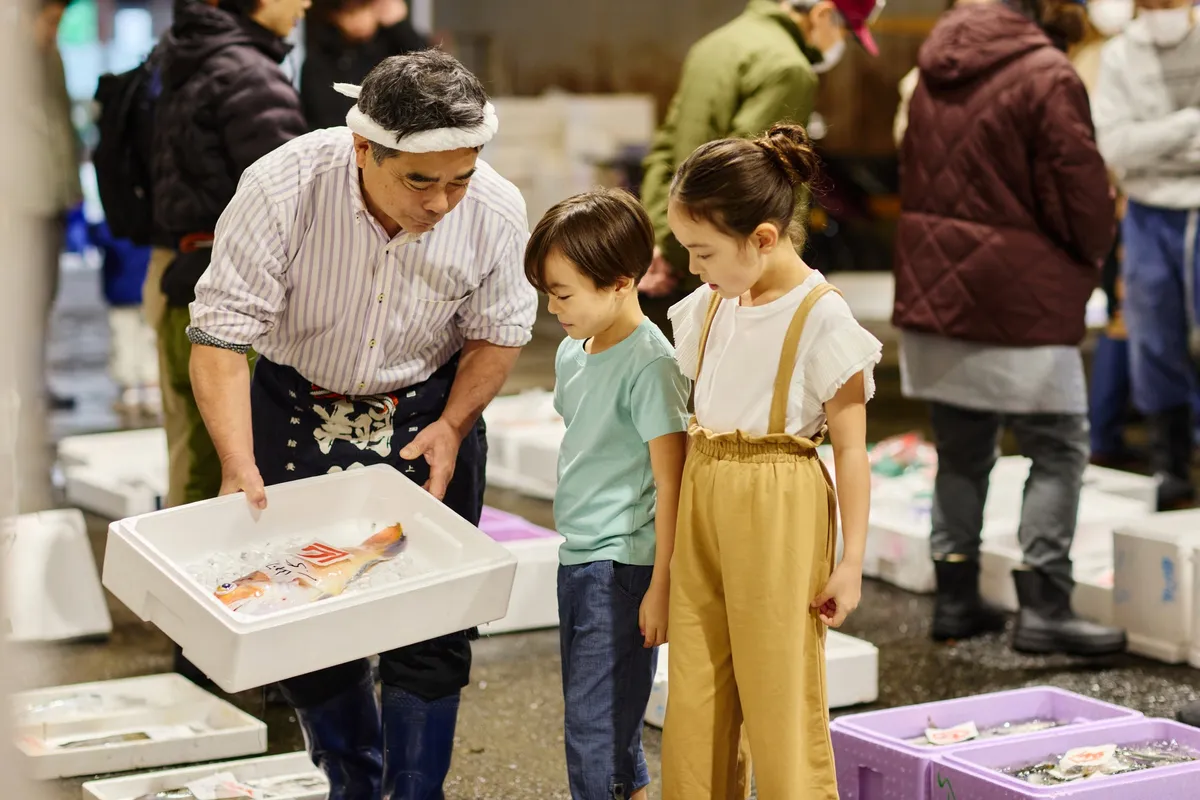 魚市場での競り見学