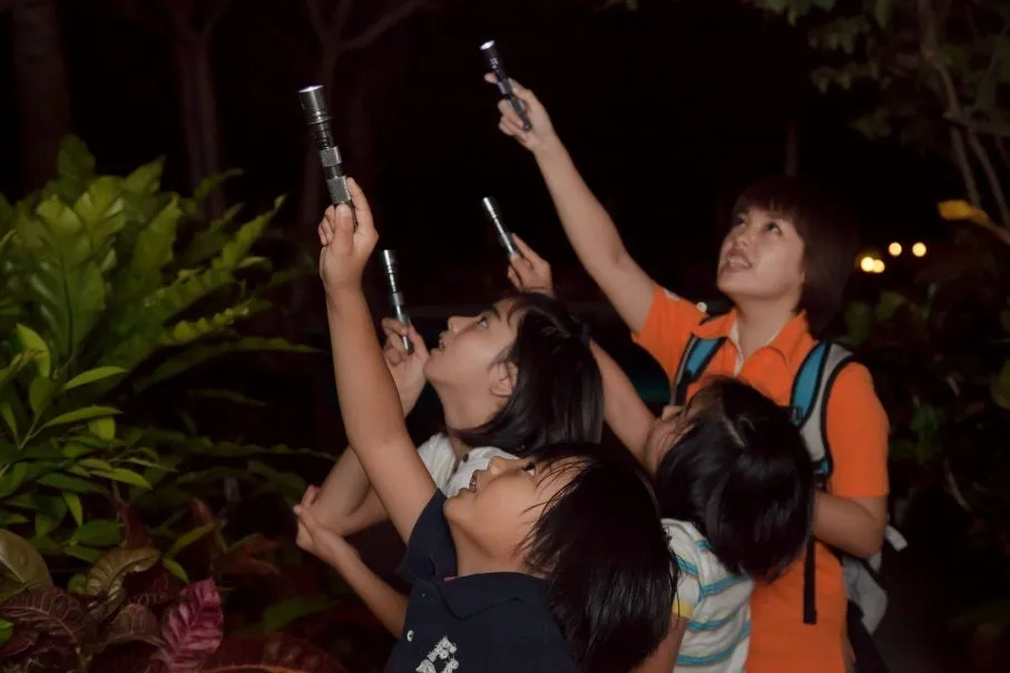 夜の森で生き物を探すナイトトレイルの様子