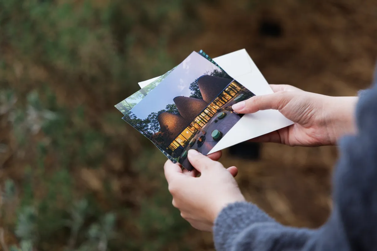 緑豊かなアグリガーデンの風景