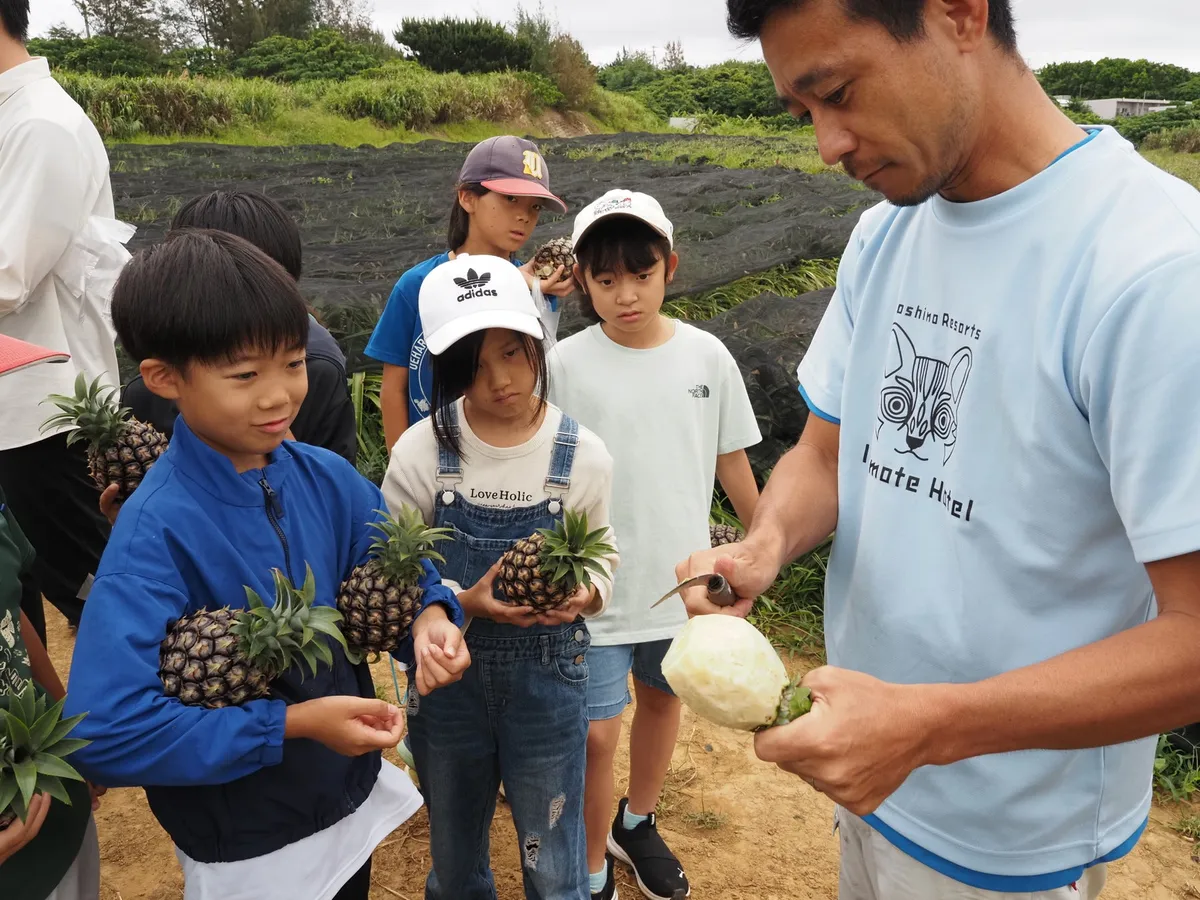農家がその場でピーチパインをカットする様子