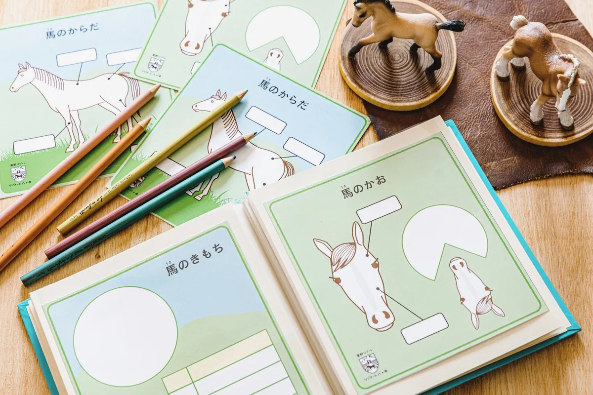 イラスト付きの専用自由研究シートと色鉛筆