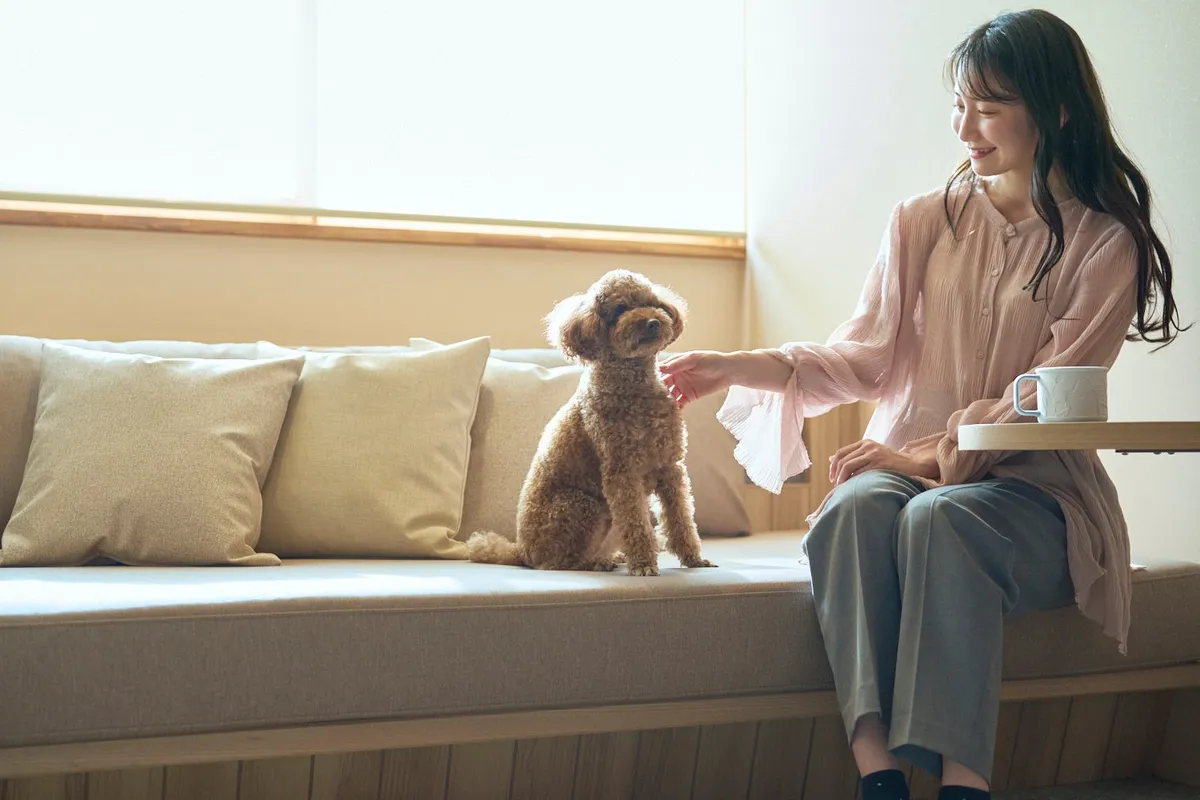 愛犬とリラックスして過ごせる客室