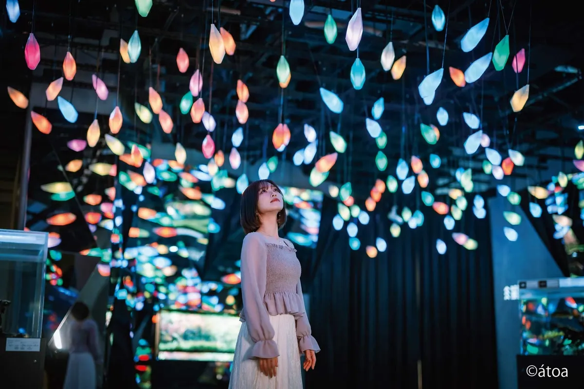 光の演出が美しいátoa館内の幻想的な空間