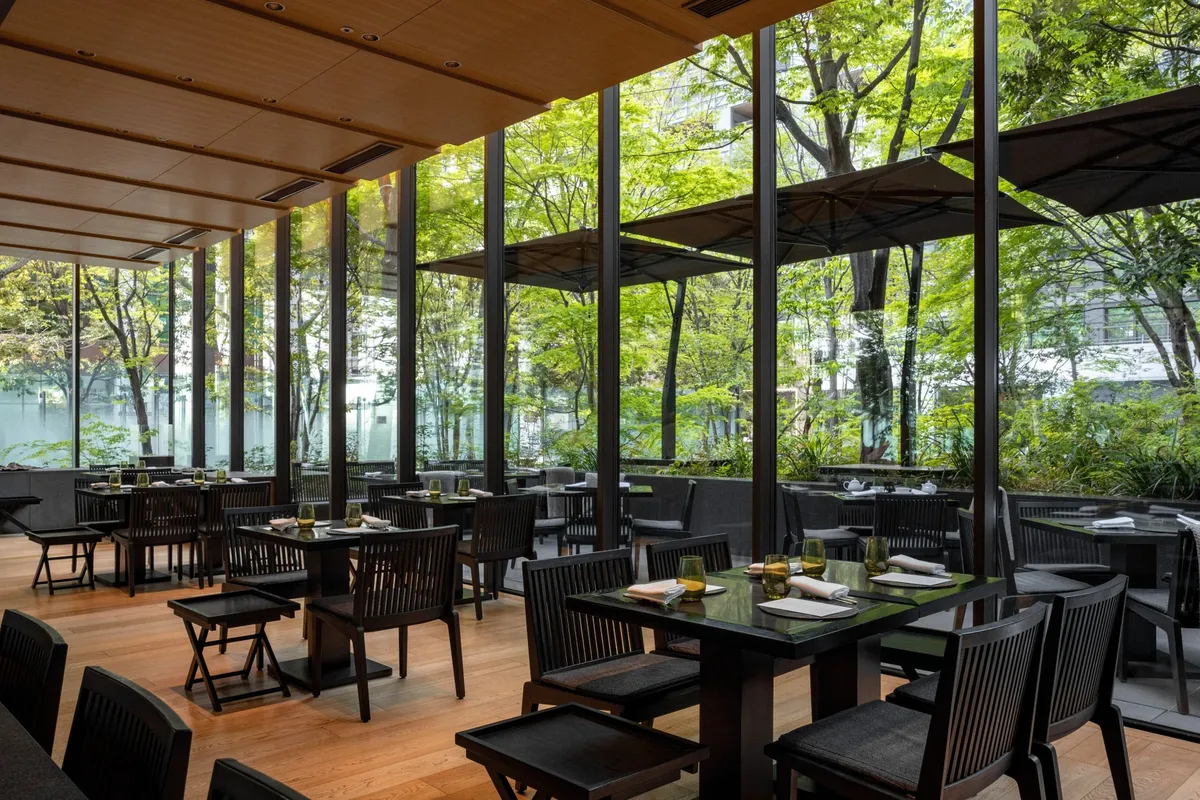 大きな窓から新緑の森を望むザ・カフェ by アマン。自然光が差し込む心地よい空間です。