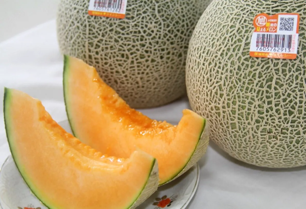 完熟したオレンジ色の果肉が美しいクインシーメロン