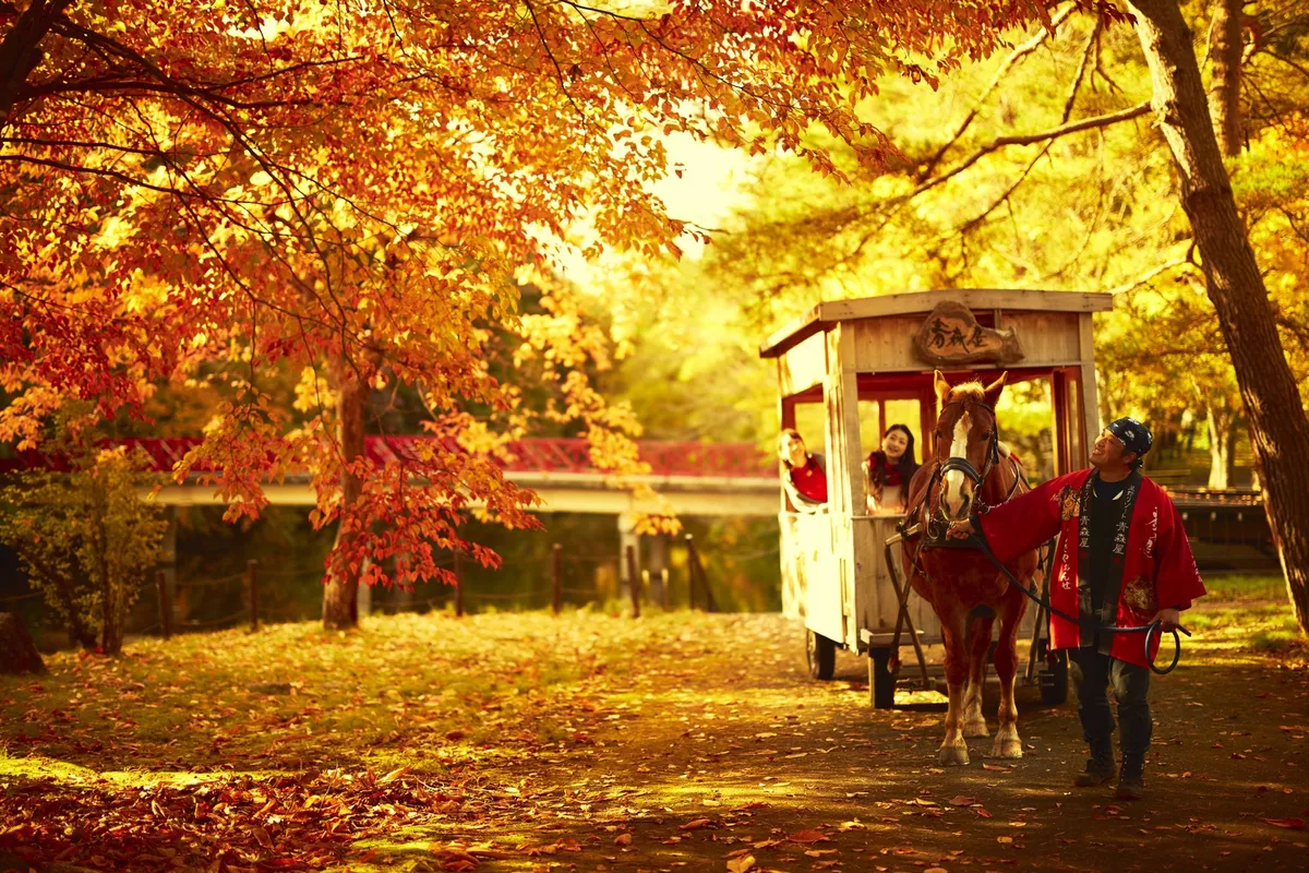 紅葉が美しい公園内を進む情緒あふれるりんご馬車