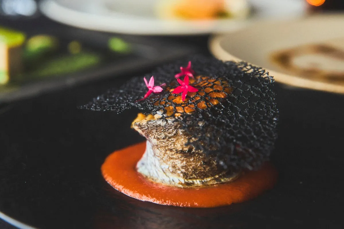 焚火をイメージした独創的な魚料理