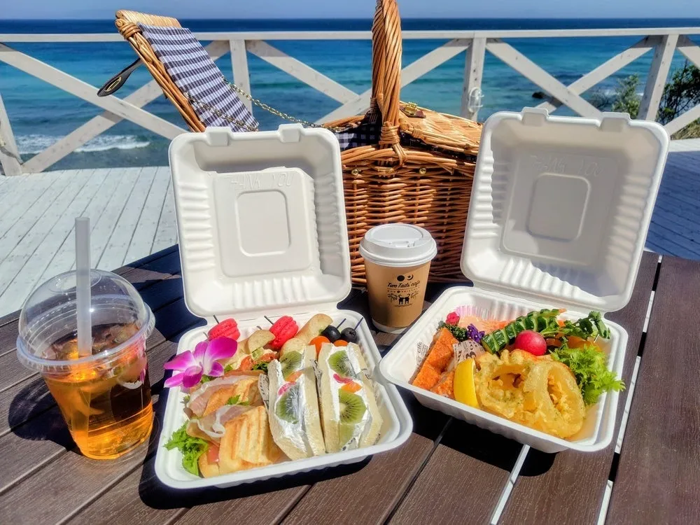 海を眺めながら楽しむ海ピクニックのランチボックス