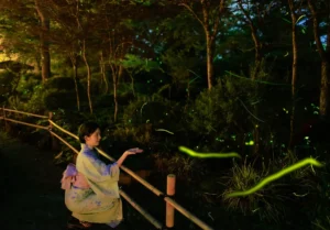 富士山温泉ホテル鐘山苑でホタルの舞に感動！2026年「蛍まつり」で幻想的な初夏の夜を