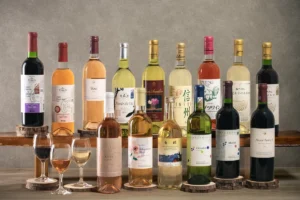 【休暇村乗鞍高原】長野県産ワイン15種から選べる飲み比べが贅沢すぎる！信州の美食と至福のペアリング