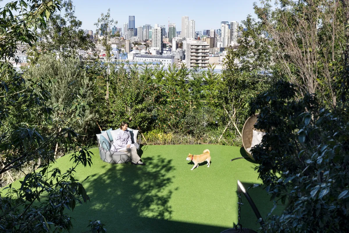 地上60メートルの絶景ドッグランで駆け回る柴犬