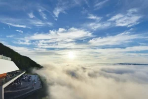 星野リゾート トマム「雲海テラス」2026年営業開始!雲の上でヨガや絶景散歩を楽しむ最高の朝