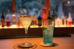 皆生温泉「皆生風雅」で大人の夏休み。日本庭園を望むバーで愉しむ夏季限定カクテル付プランが登場