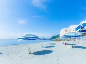 アオアヲ ナルト リゾート35周年!3食5大特典付きプランでナイトプールも海も遊び尽くす夏旅