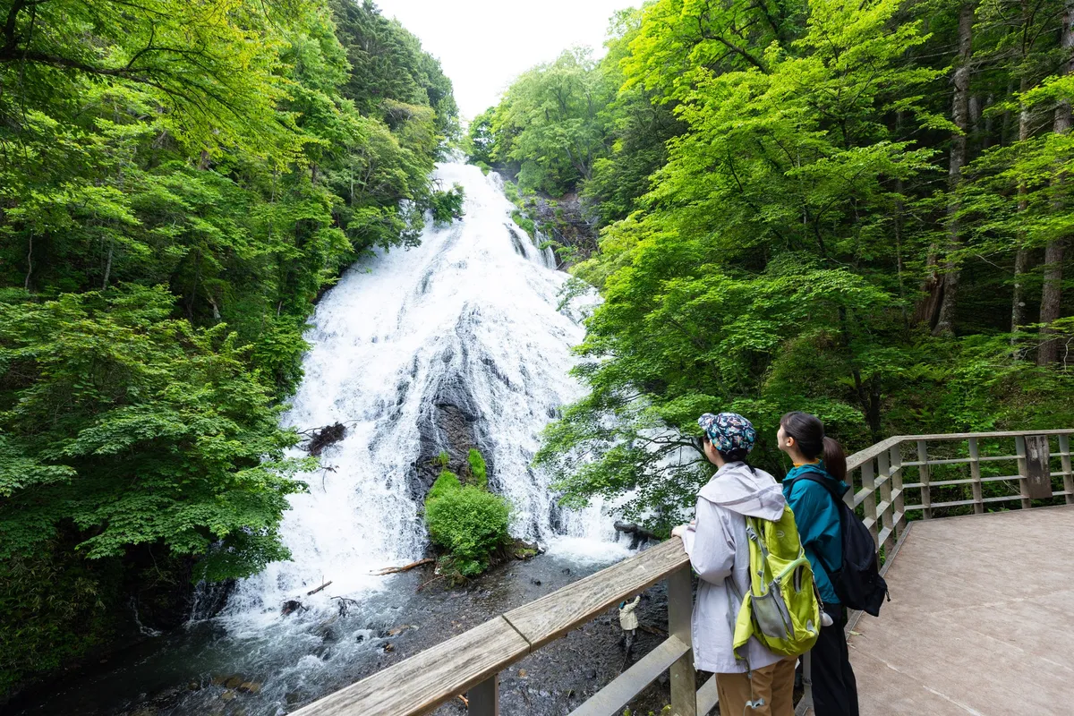 迫力満点の湯滝