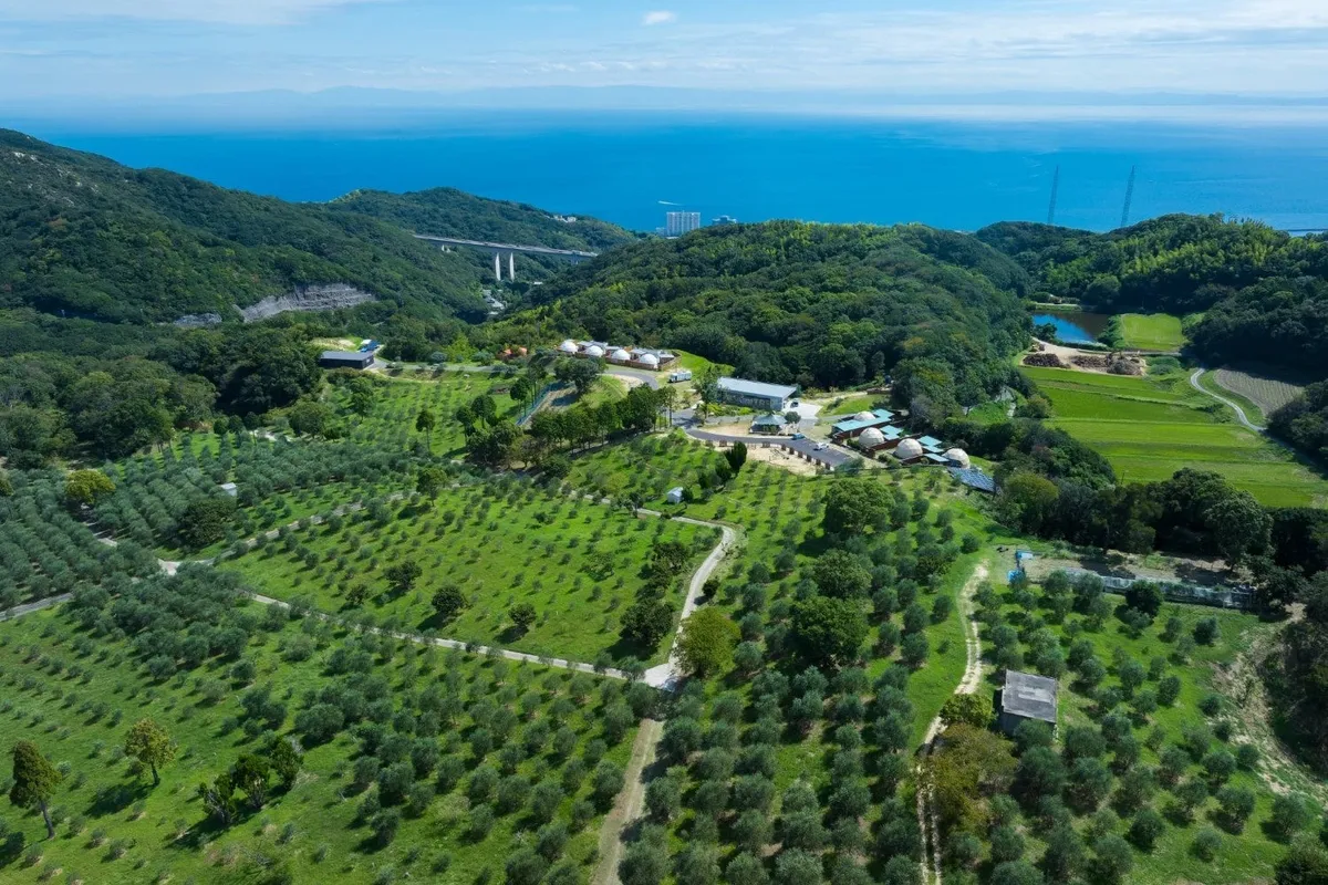 広大なオリーブ園と瀬戸内海を望む絶景
