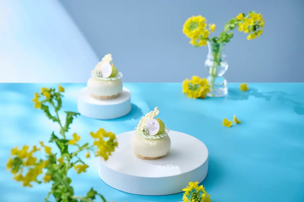 千葉県産はちみつを使用したムースケーキのミエロン