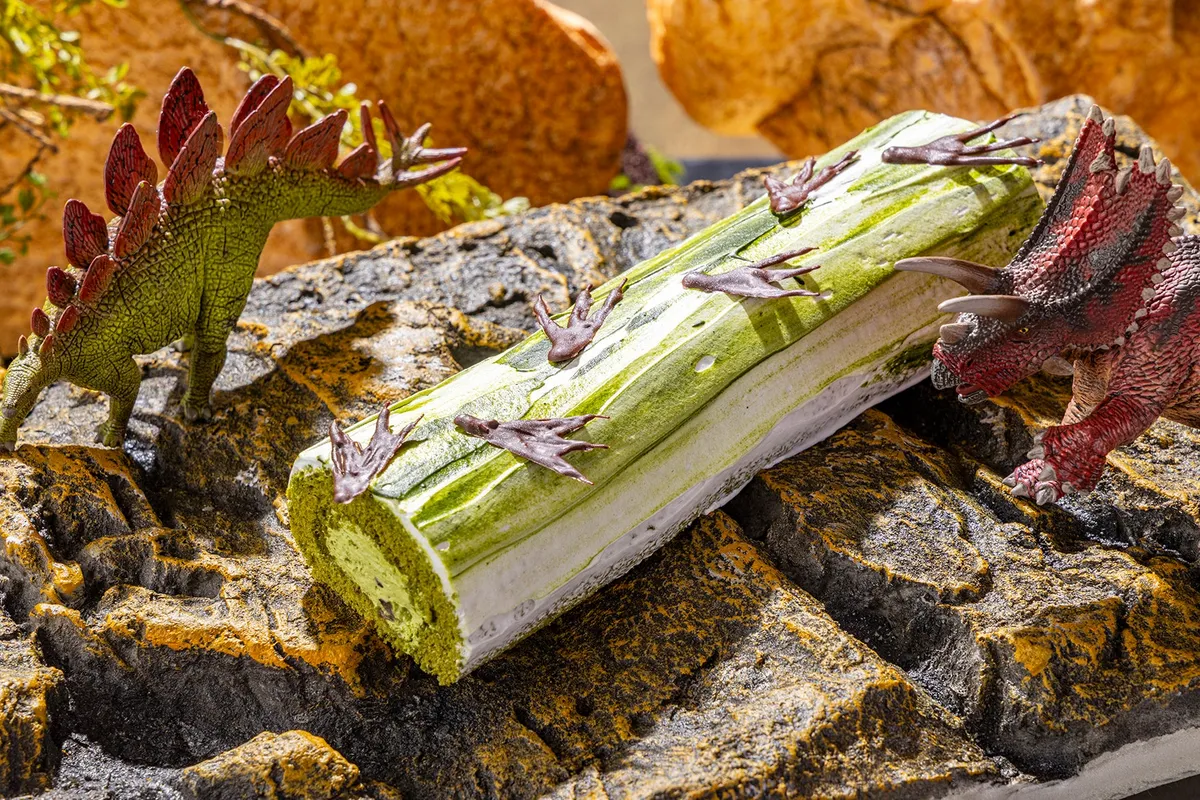 恐竜の足跡がついた抹茶のロールケーキ