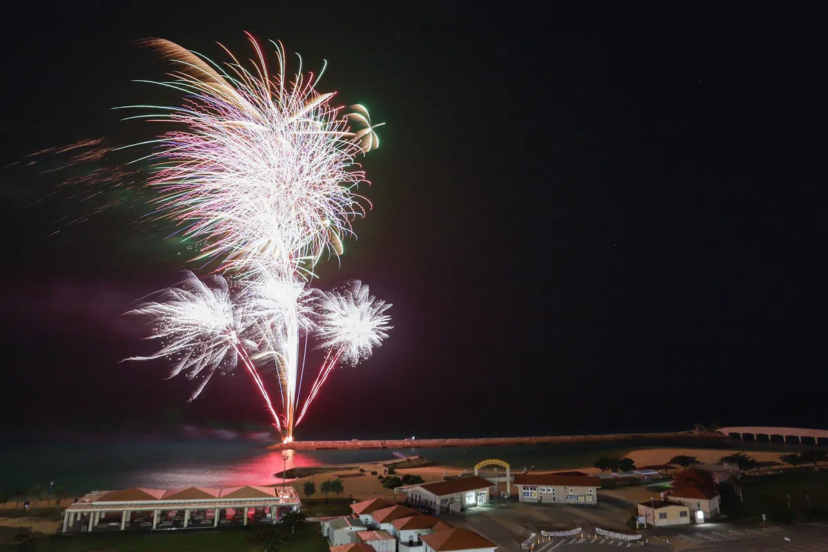 夜空を彩る色鮮やかな打ち上げ花火