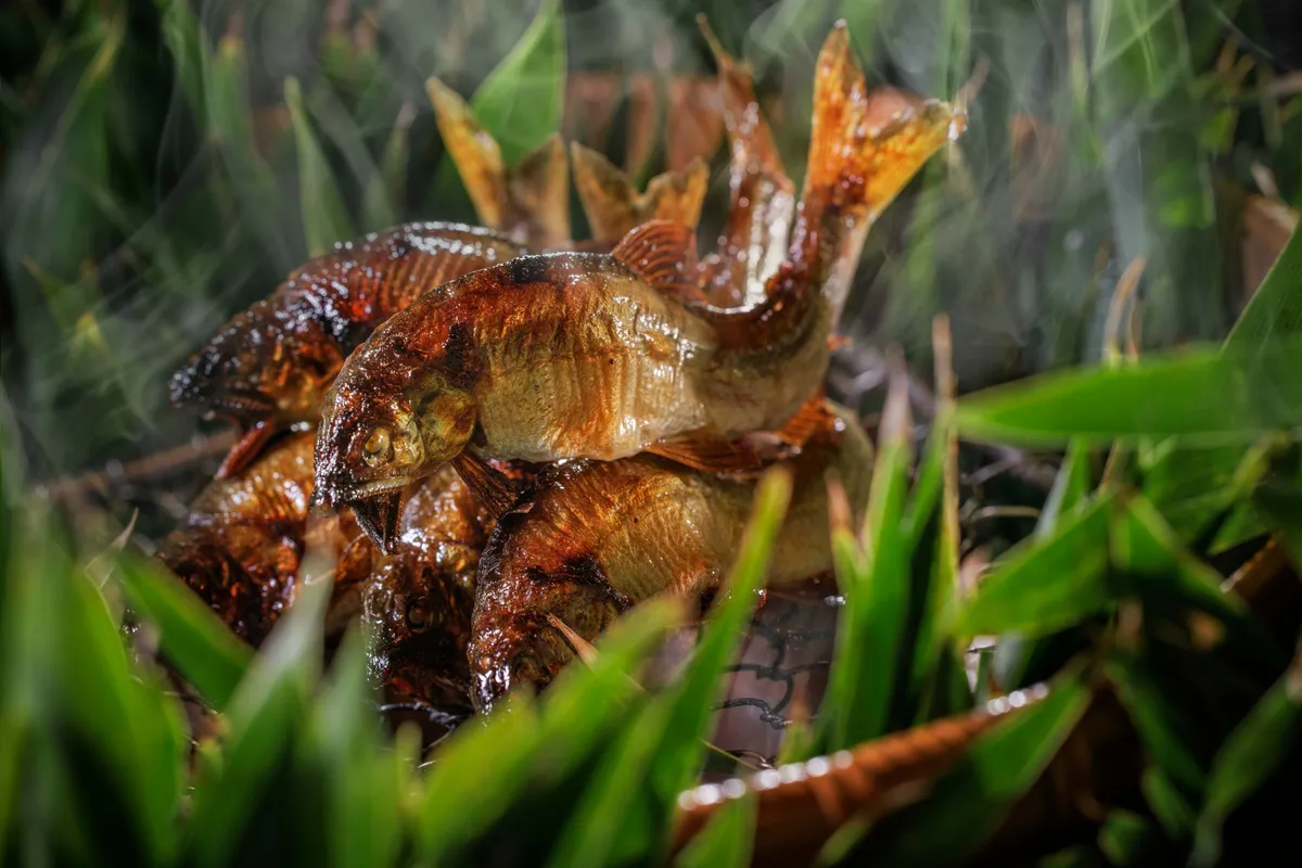 焼肴 香魚