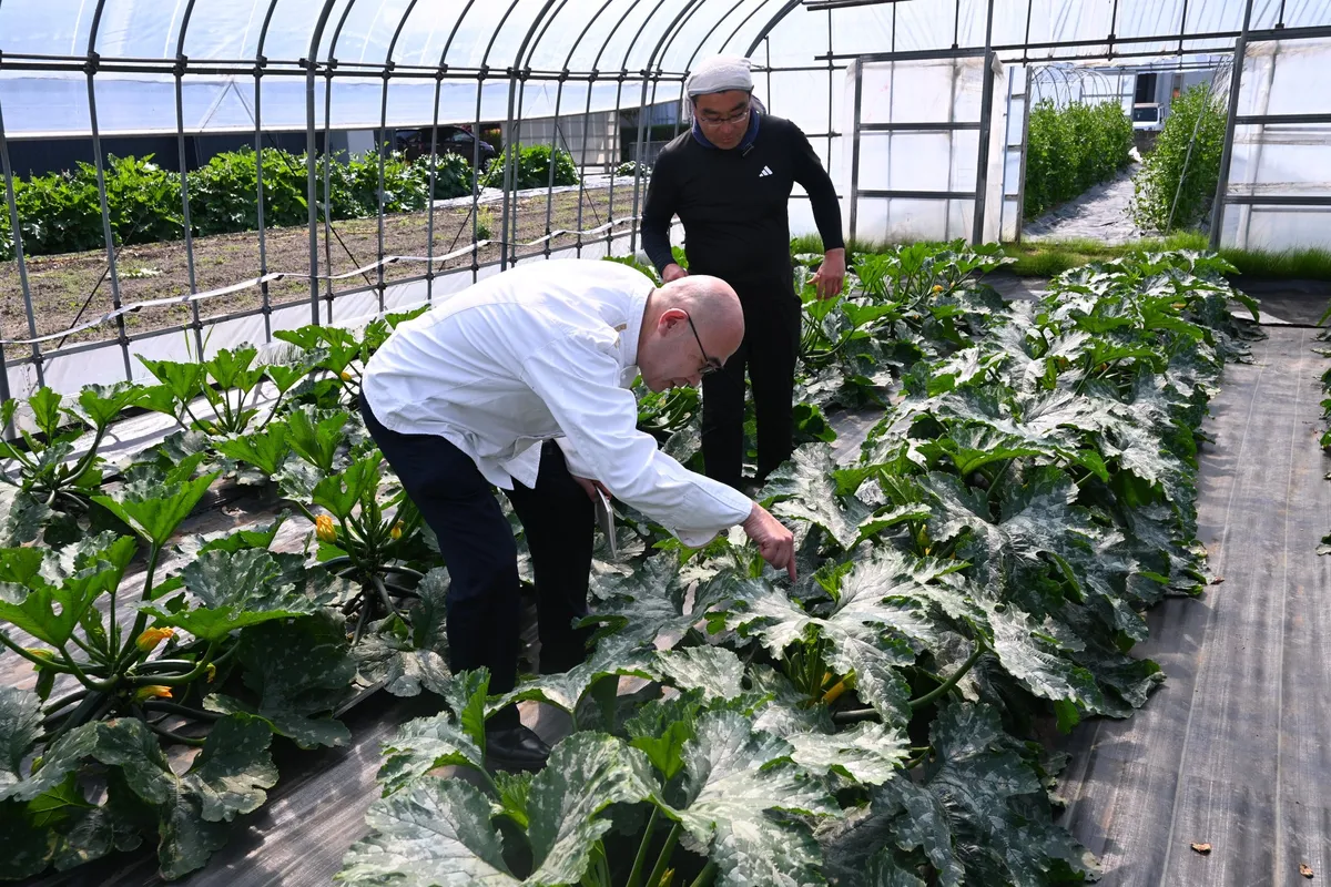 農園を訪れ、野菜の育ち具合を自らの目で確かめるシェフ