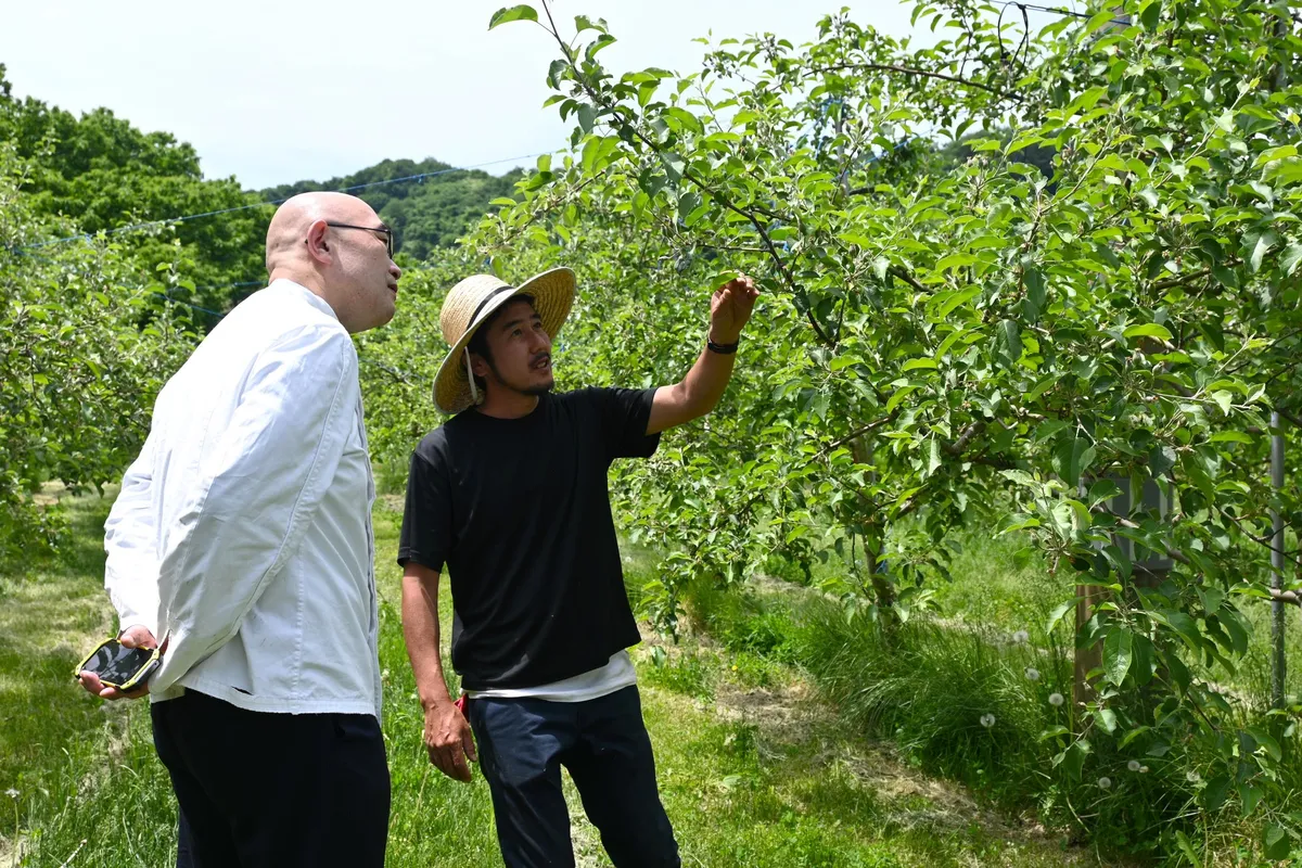 果樹園で生産者と語り合いながら食材への理解を深めるシェフ
